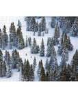 Gray Malin The Snow Double-Sided 500 Piece Puzzle