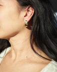 Odette New York Brass Shield Earrings